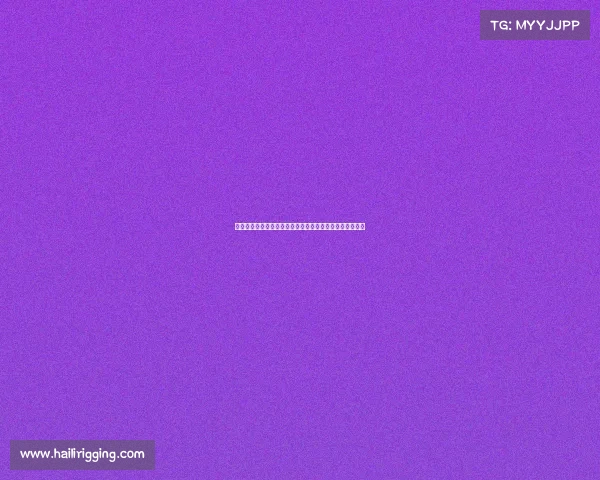 上海赛事审批公司专业高效赛事审批一站式解决方案提供商