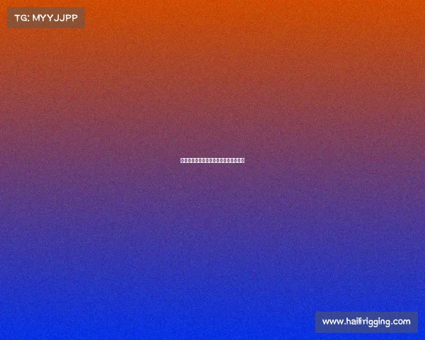 体育赛事公司游泳体育公司承办赛事介绍